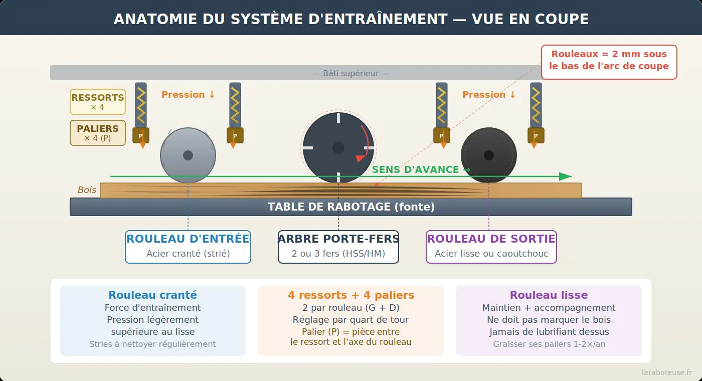 Schéma en coupe du système d'entraînement d'une raboteuse : rouleau cranté d'entrée, arbre porte-fers, rouleau lisse de sortie, 4 ressorts de compression et table de rabotage avec cote de 2 mm entre rouleaux et arbre